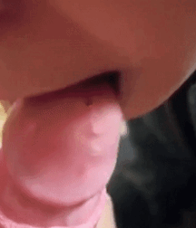 Twink Tushy Tuesday Smooth And Shaved Boy Porn 62d61551dfeae.gif