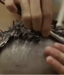 Not A Meatless Monday Smooth And Shaved Twink Boy Porn 62df30bc57c4c.gif