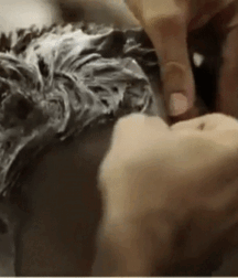 Not A Meatless Monday Smooth And Shaved Twink Boy Porn 62df36585a760.gif