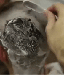 Not A Meatless Monday Smooth And Shaved Twink Boy Porn 62df365a4e08f.gif