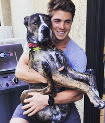 Spencer Neville and his muscles 57d3007c9534a.png