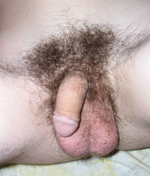 Bolik Solo Gay Porn 60fe2ec9ca0f6.jpg