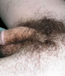 Bolik Solo Gay Porn 60fe30e010e1d.jpg
