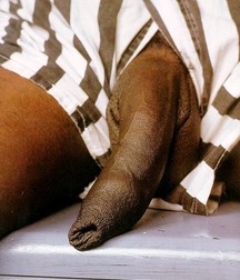 Beautiful Big Black Uncut Dicks Boys Porn 60fb643437661.jpg