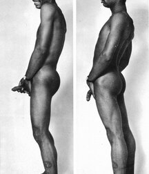 My Favorite Vintage Black Dicks Gay Porn 6103f0adcd195.jpg