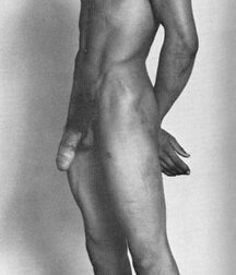 My Favorite Vintage Black Dicks Gay Porn 6103f0c852d3e.jpg