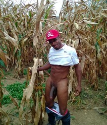 My Favorite Vintage Black Dicks Gay Porn 6103f20790be6.jpg