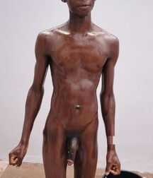 Black and Brown Boys Porn in the Shower 610dc0c4d473b.jpg