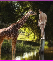 They Don't Move... Gay Boys Porn Art 6172ddd8a151b.png