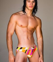 GIANNI REYES ART COLLECTION TWINK TUBE