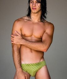 GIANNI REYES ART COLLECTION TWINK TUBE 60fa8aa11a40a.jpg