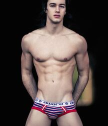 GIANNI REYES ART COLLECTION TWINK TUBE 60fa8aa90bff6.jpg