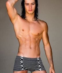 GIANNI REYES ART COLLECTION TWINK TUBE 60fa8aac41e53.jpg