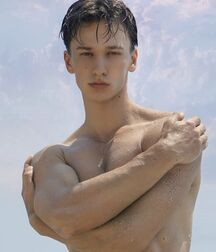 ANDRII LEVCHENKO - Art Collection Twink Tube 6112983dcb29b.jpg