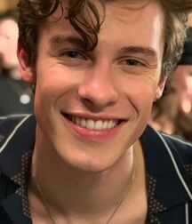 SHAWN MENDES - SINGER,SONGWRITER AND MODEL TWINK TUBE