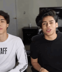 TWINS AND TWINKS GAY PORN 6144b621e4c39.gif