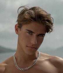 TWINK TUBE WILLIAM ROEPSTORFF - THE PERFECT HUMAN FACE... 614b215638832.jpg
