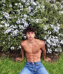 TWINK TUBE WILLIAM ROEPSTORFF - THE PERFECT HUMAN FACE... 614b218db6e4b.jpg