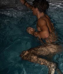 TWINK TUBE WILLIAM ROEPSTORFF - THE PERFECT HUMAN FACE... 614b21d7c620c.jpg