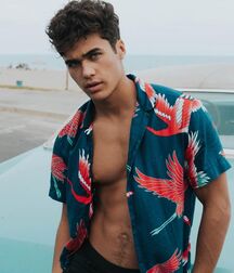 LAURENCE COKE - AMERICAN MODEL