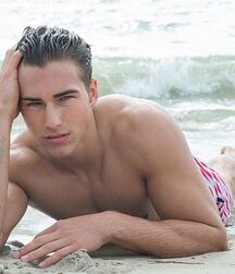 NIC PALLADINO - AMERICAN MODEL  617573781a107.jpg