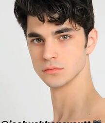 JOSHUA HONEYCUTT - AMERICAN MODEL 6187e96592710.jpg