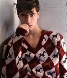 JOSHUA HONEYCUTT - AMERICAN MODEL 6187e99658ab2.jpg