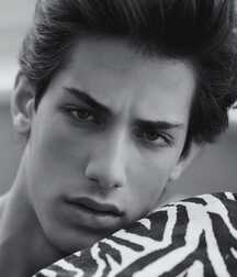 ALEND KING - AUSTRIAN MALE MODEL 619a6cab6e20f.jpg