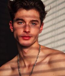 THOMAS ROSSIER - SWISS MODEL
