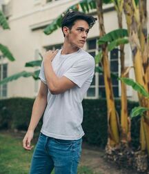 LEVI MCLEOD - TOP MODEL 61bdaab8b8157.jpg