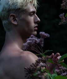 Gray Eberley - American Model Twink Tube 62050b92c2654.jpg