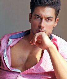 Andrea Denver - Italian Male Model 620e56110a569.jpg
