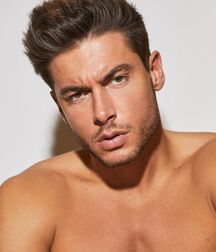 Andrea Denver - Italian Male Model 620e56365d54b.jpg