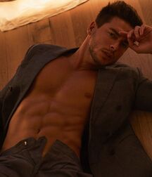 Andrea Denver - Italian Male Model 620e564127e4d.jpg