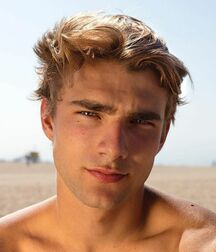 Matthew Pollock - American Model 622dbee551971.jpg