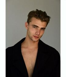 Matthew Pollock - American Model 622dbf131b437.jpg