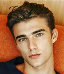 Matthew Pollock - American Model 622dbf510a644.jpg