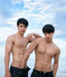 Double Beauty Boys Gay Porn Couple 6254d476d4d23.jpg