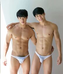 Double Beauty Boys Gay Porn Couple 6254d48948dda.jpg