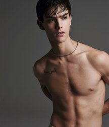 VICTOR PALHARES - BRAZILIAN MALE MODEL 6287a26d3fc9e.jpg