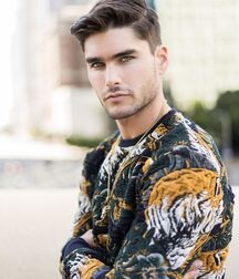 Charlie Matthews - American Model 628f8f8e5ab90.jpg