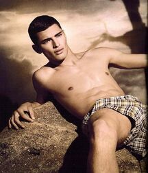 SEAN O’PRY - AMERICAN MODEL 62d1594487c07.jpg