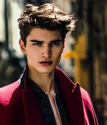 ALEXANDER FERRARIO - ARGENTINE MODEL 62d4c9344b84a.jpg