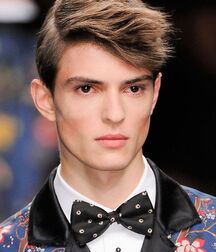 ALEXANDER FERRARIO - ARGENTINE MODEL 62d4c949753b8.jpg