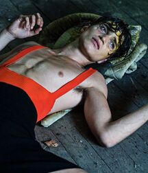 ALEXANDER FERRARIO - ARGENTINE MODEL 62d4c96ba29f3.jpg