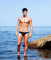VALERIU GUTU - MOLDOVIAN MODEL
