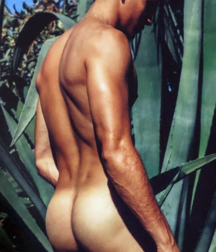 JHONATTAN BURJACK - BRAZILIAN MODEL 6307fe8f302cf.png