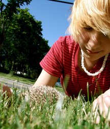 From Ian sweet kisses Twink Tube 619301fc7722a.jpg