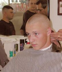 Shaved Heads Twink Tube 611d171c5a2a7.jpg