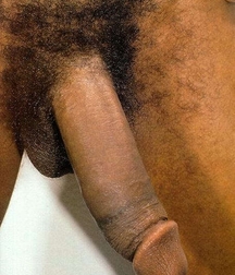 Vintage Black Boys and Men Gay Porn 6177dc128c467.jpg